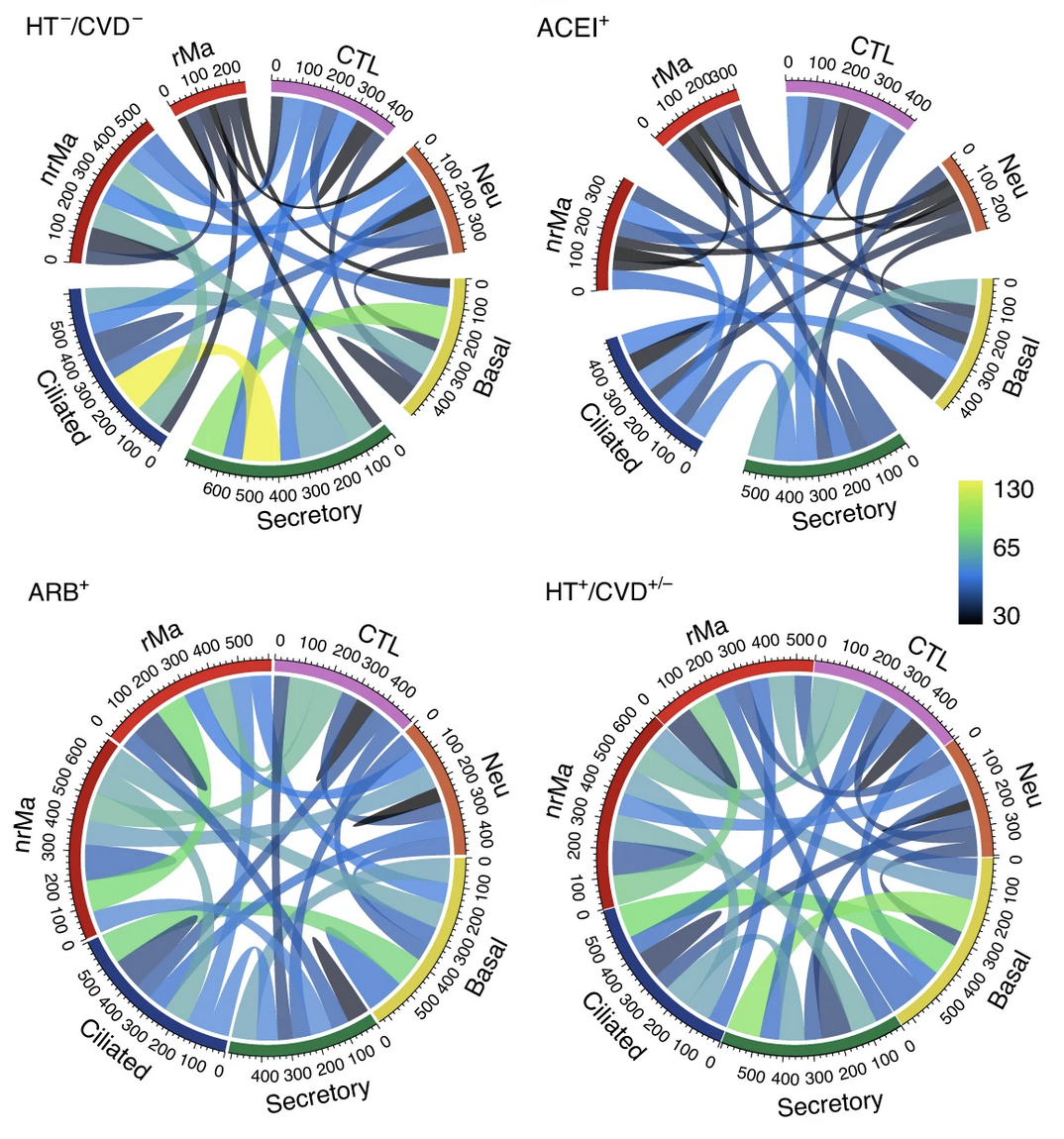 Hypertension delays viral clearance and exacerbates airway hyperinflammation in patients with COVID-19